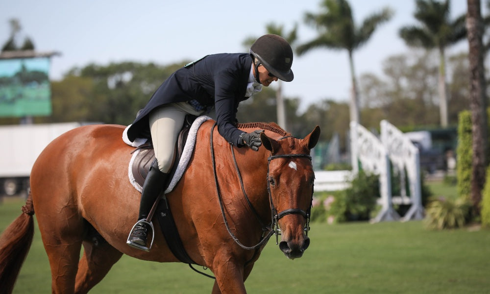 10 Types of English Riding Explained