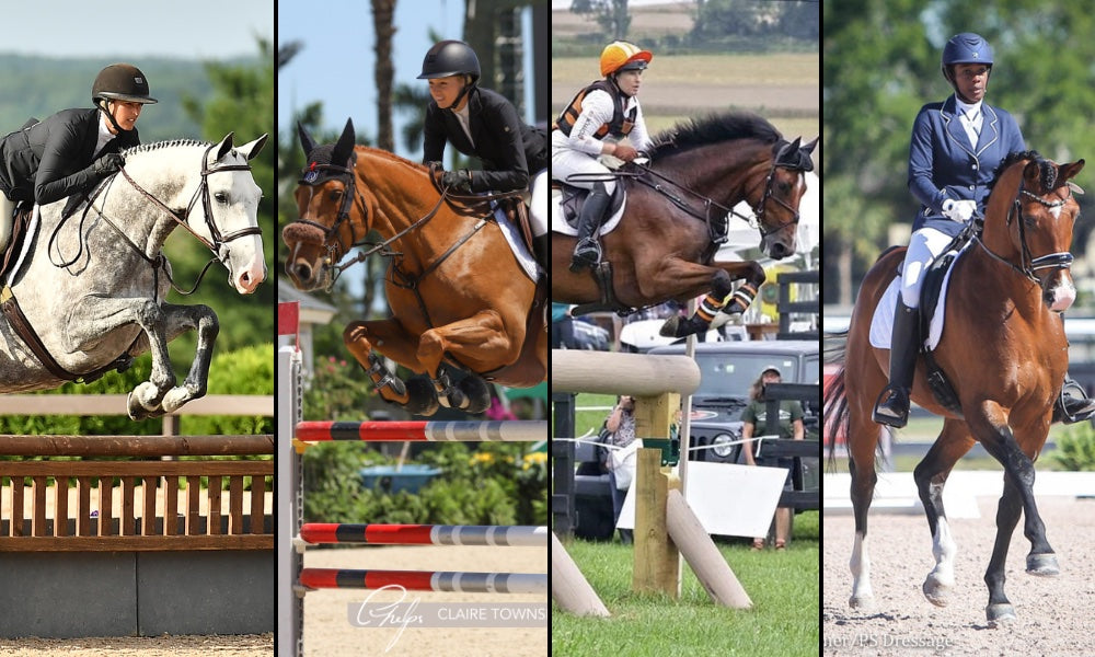 6 Types of Horseback Riding Competitions