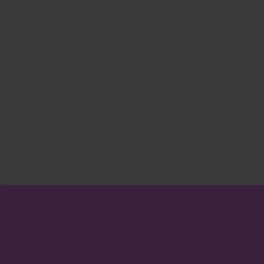 Gunmetal/Plum