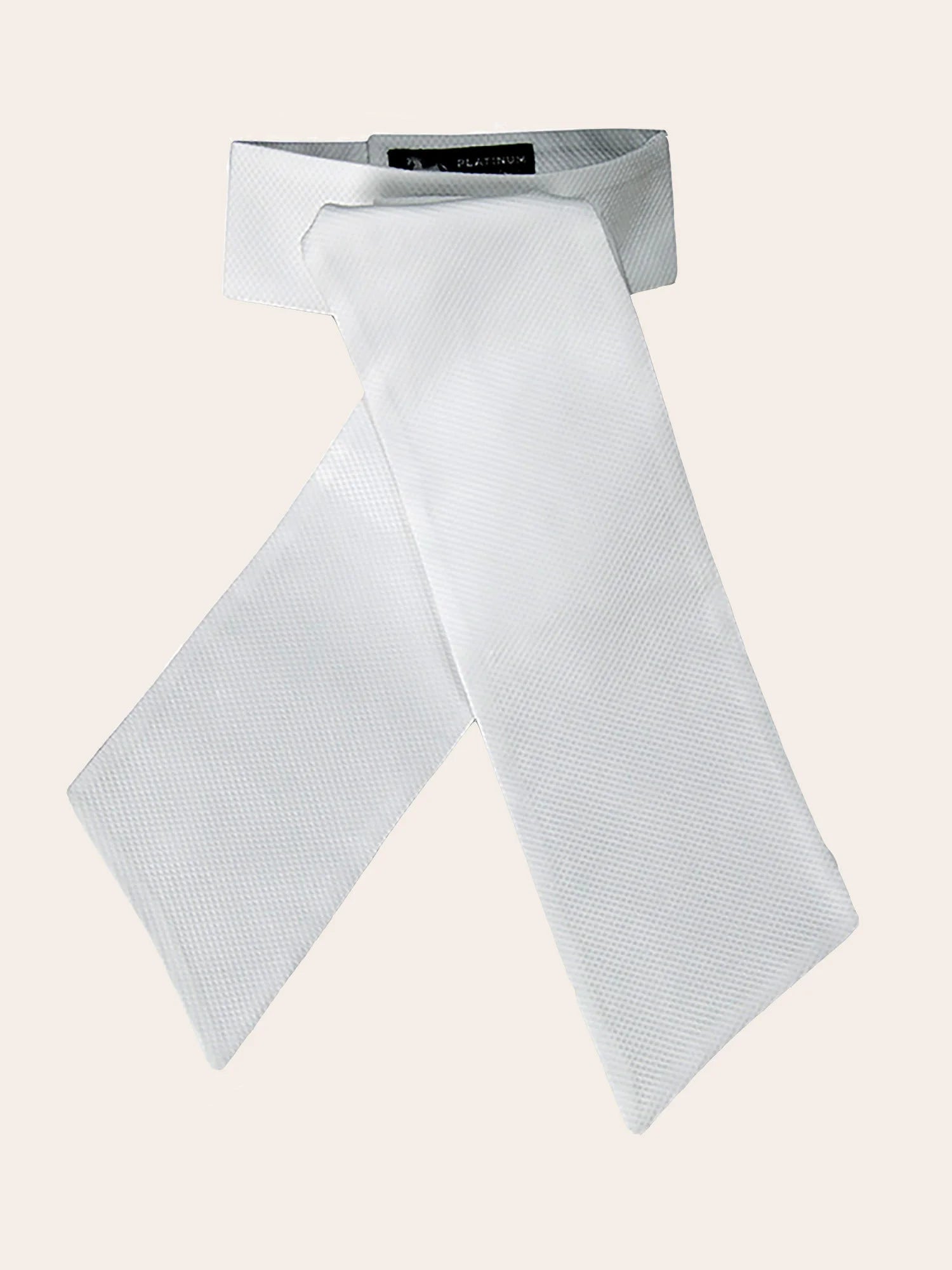 Camden Pre-Tied Stock Tie