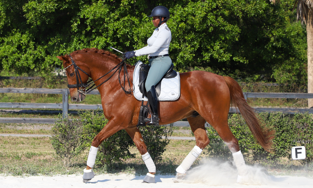 Dressage Show Attire, Dress Code, and Style Tips for Riders