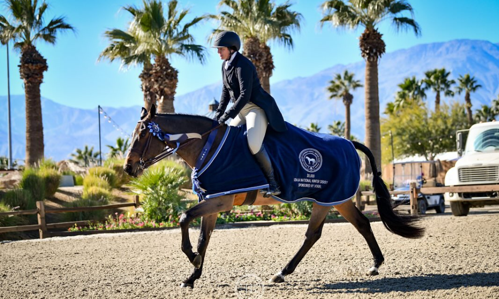 Desert International Horse Park: Insider Guide for Equestrians