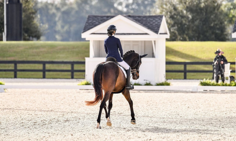 rider on horseback in an arena