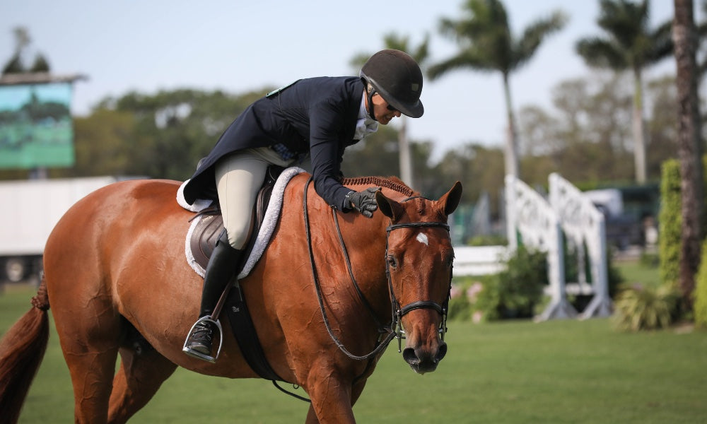 English rider doing dressage