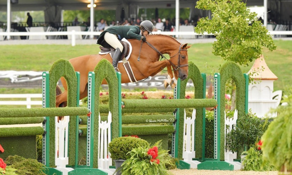 How to Buy a Shadbelly: Size, Fit, and Style Guide