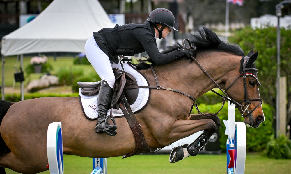 Equestrian show jumping