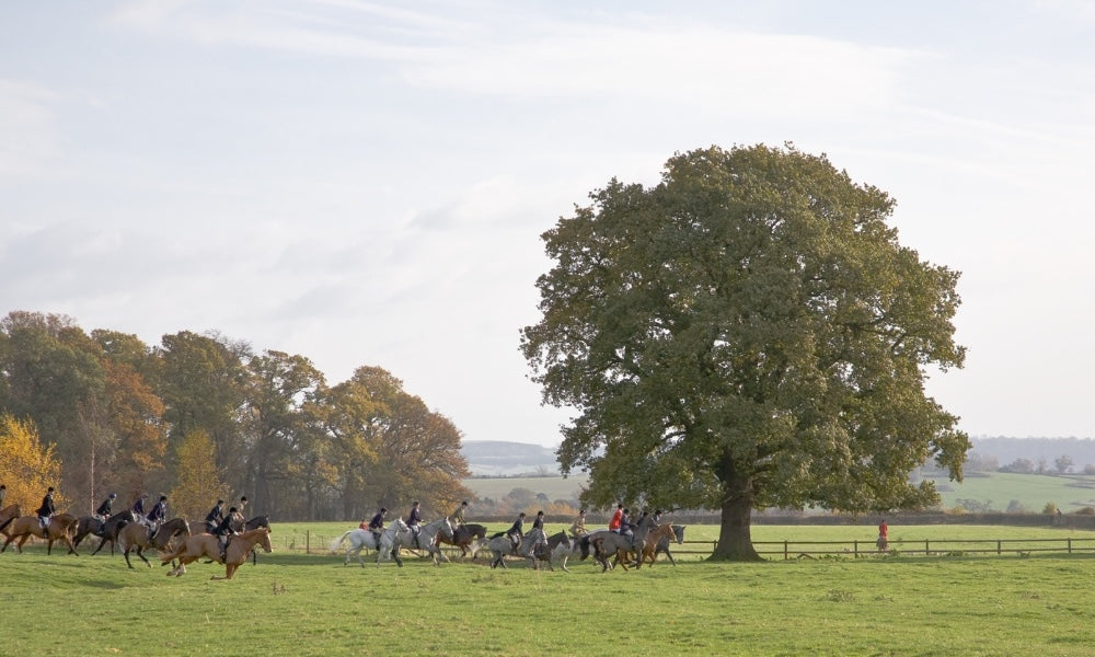 group of equestrians Fox hunting