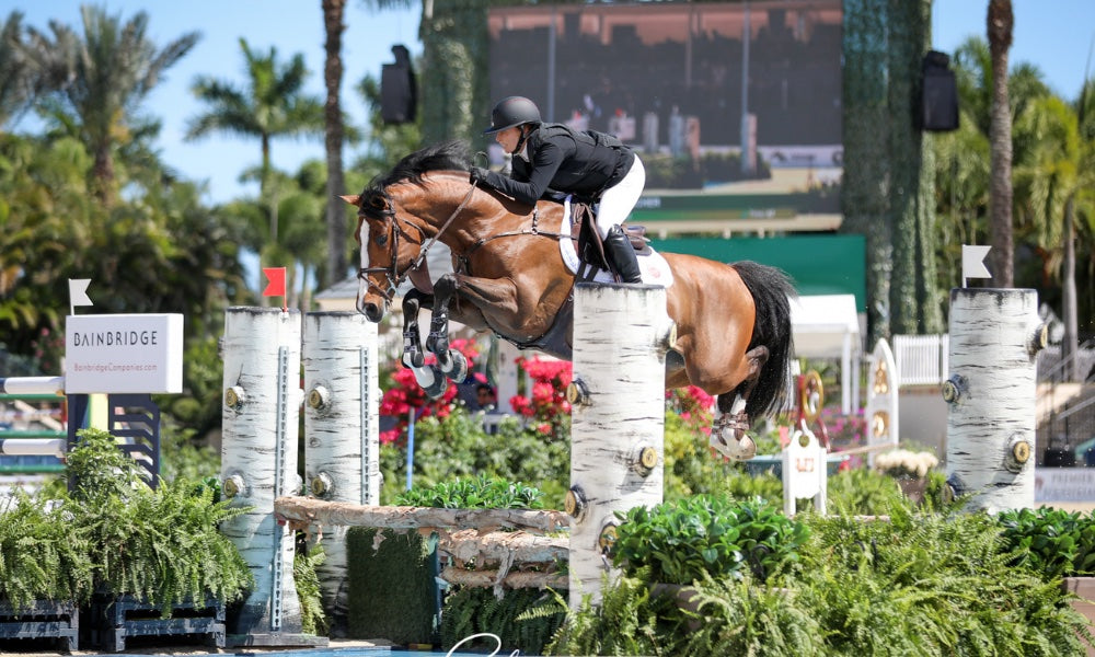 Horse show jumping over a fence