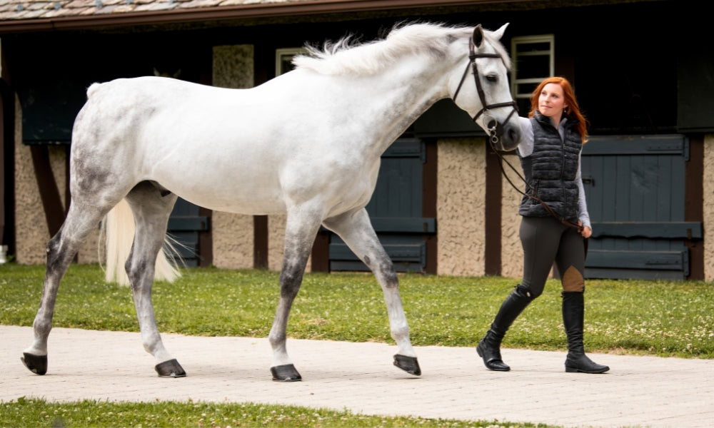 Woman in equestrian apparel walking her horse