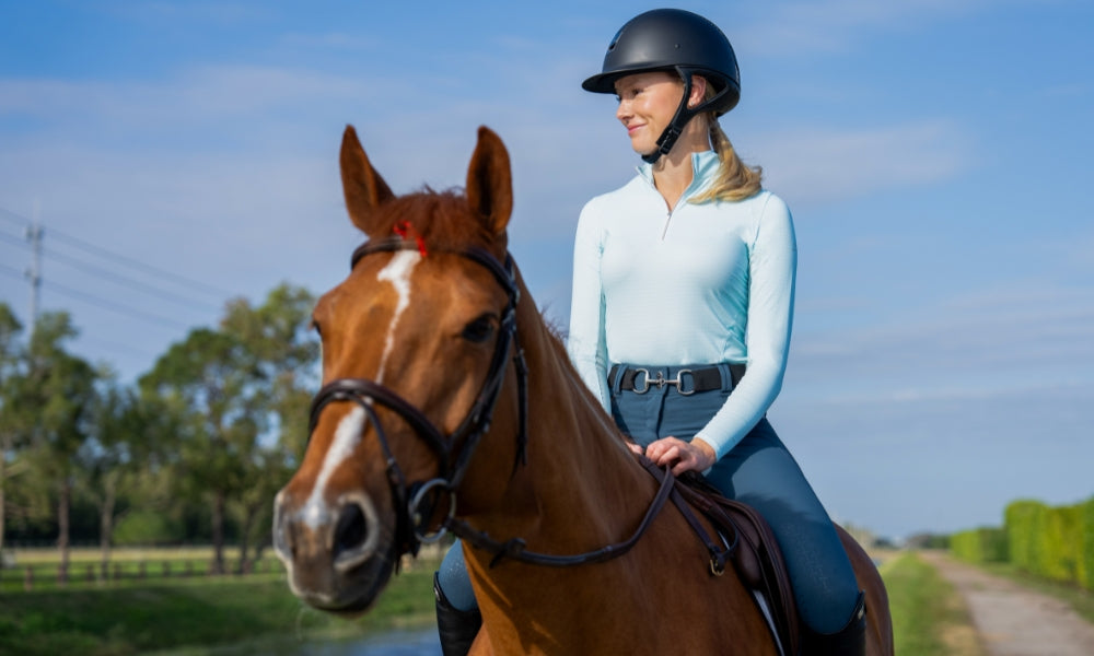 Adult equestrian on horseback