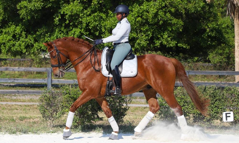 Dressage rider on horseback wearing R.J. Classics apparel