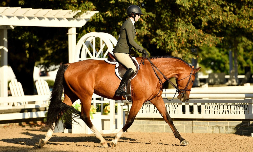 Rider wearing R.J. Classics show apparel on horseback in an arena