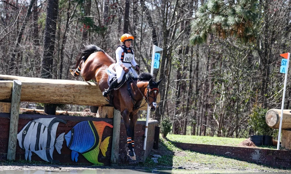 What Is Equestrian Cross-Country?