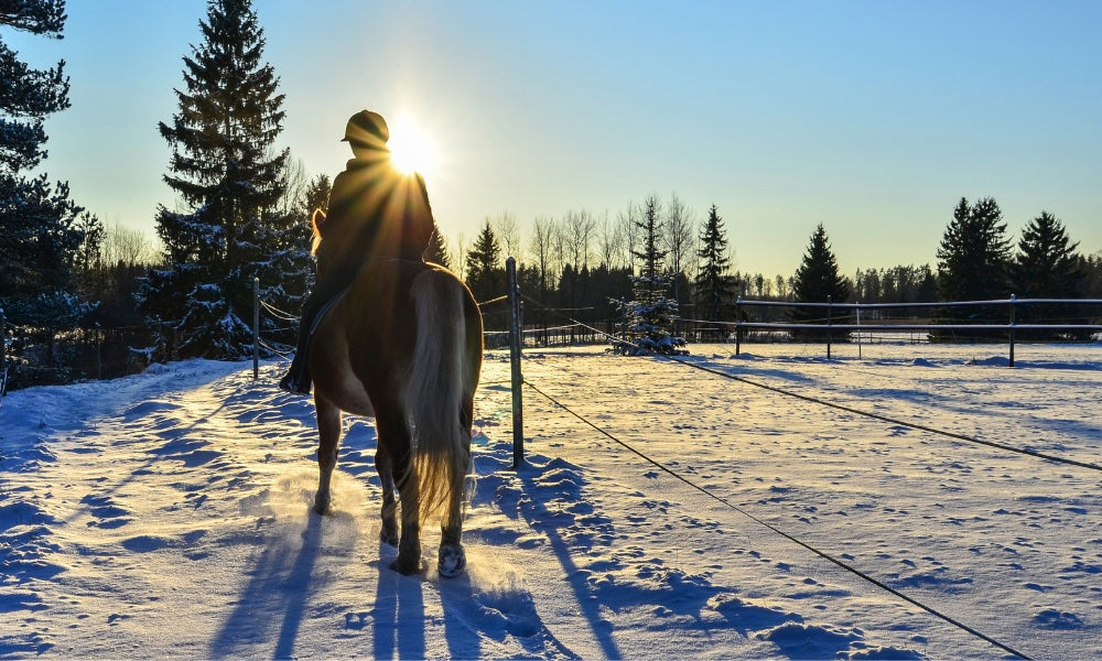 horse and rider in the snow