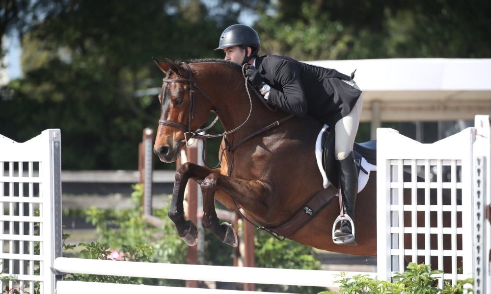 male equestrian wearing breeches, show coat, and riding a horse