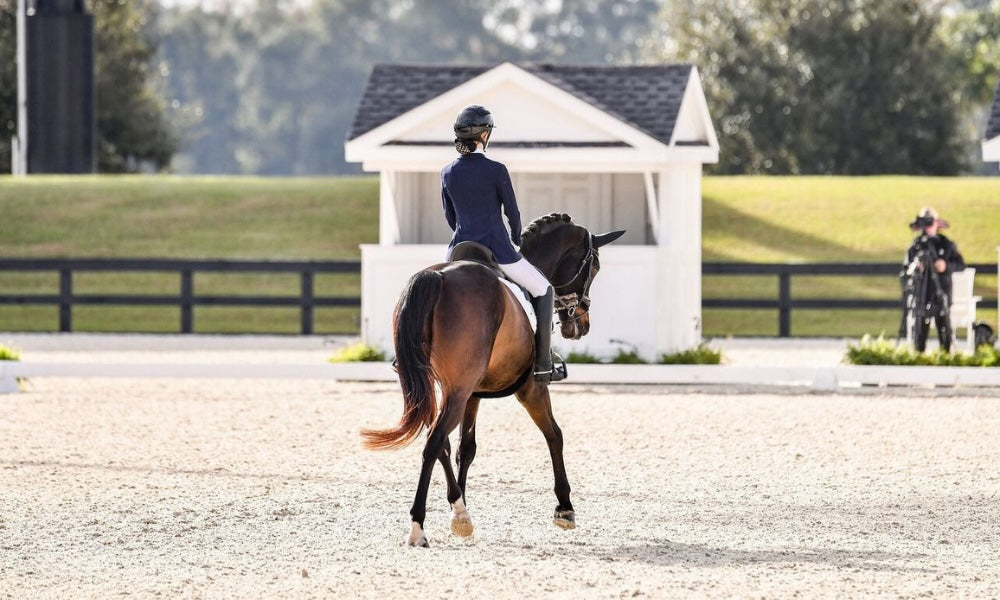 rider at dressage schooling event