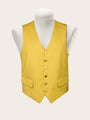 Cheshire Hunt Vest