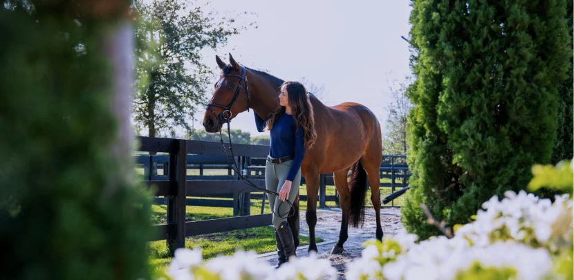 10 Types of English Riding Explained – R.J. Classics